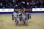 Quadrille - 00848